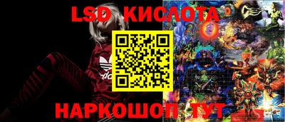 mdma Новозыбков