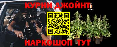 mdma Новозыбков