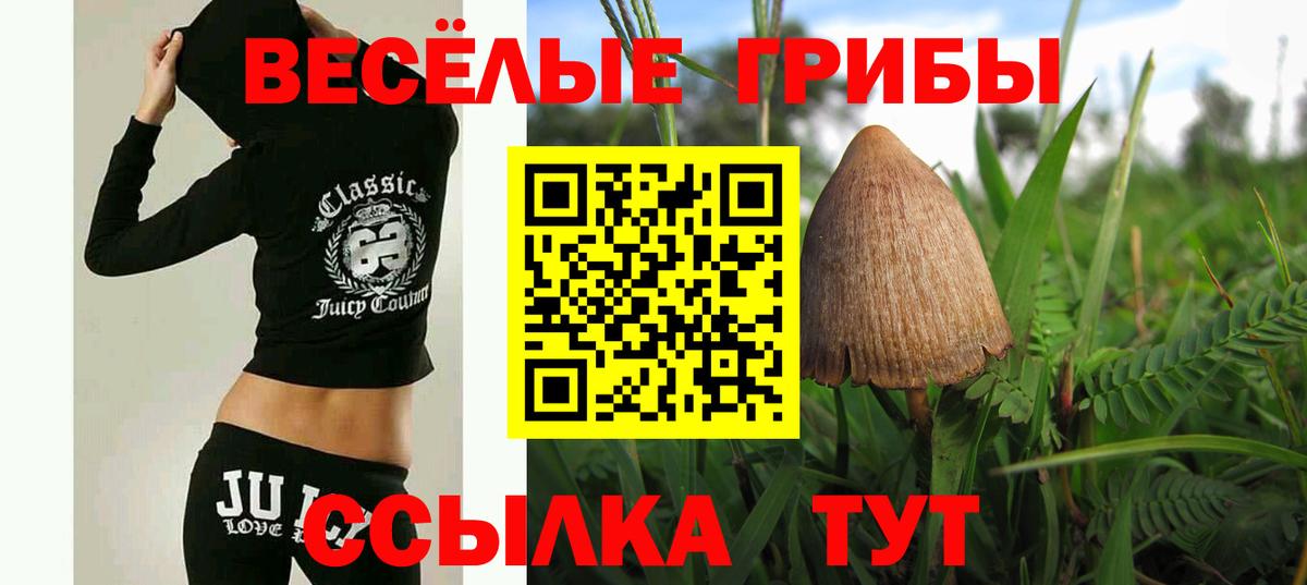 Псилоцибиновые грибы прущие грибы Черногорск
